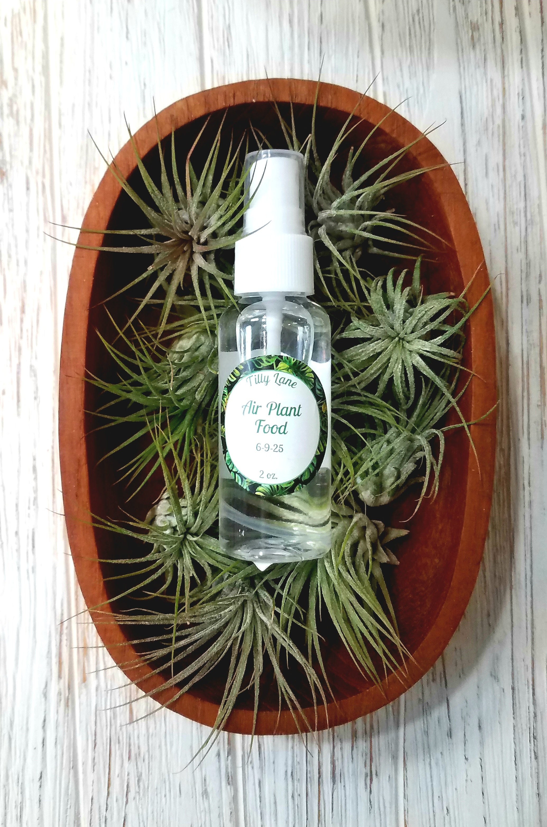 Air plant store fertilizer